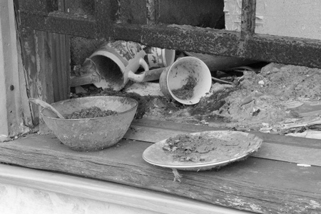 surviving post teotwawki