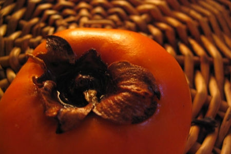 Persimmons as a survival fruit