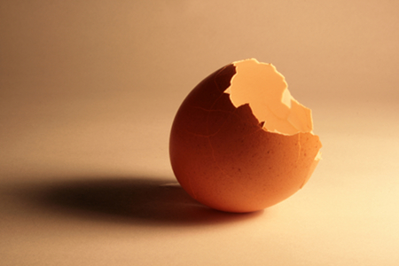 How to use eggshells
