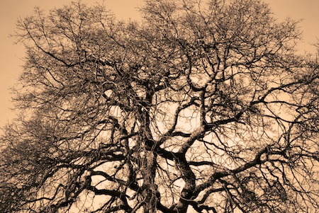 Fear is a natural emotion