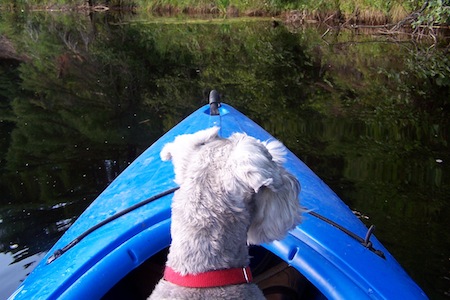 prepping for animals