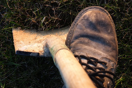 digging a root cellar
