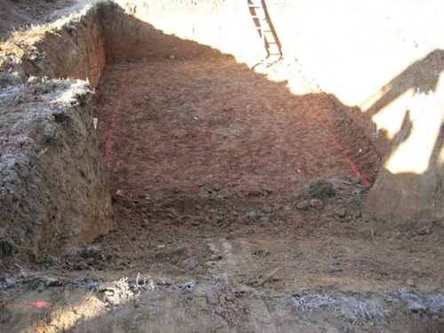 squaring the root cellar
