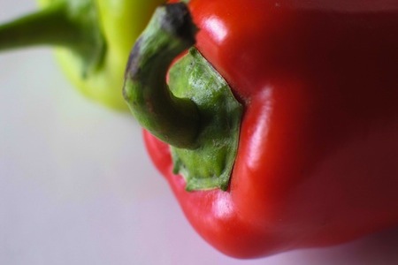 raised bed gardening