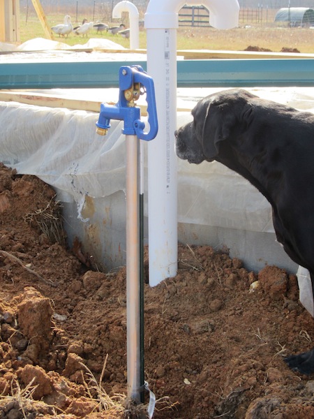 running water to the root cellar