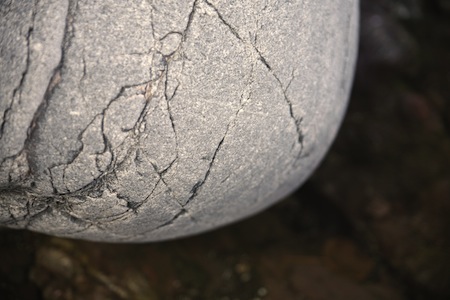 Rogers' art of diplomacy 