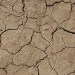 parched earth