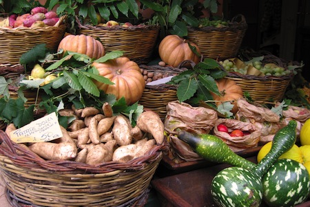 storing root crops
