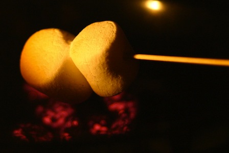 making smores with your kids