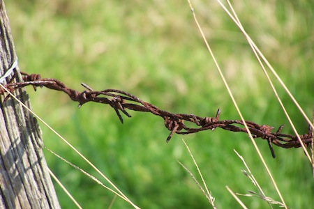 Are we slowly selling away our freedoms?