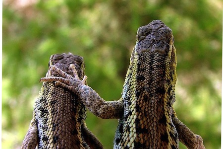 Getting to know each other Getting to know each other