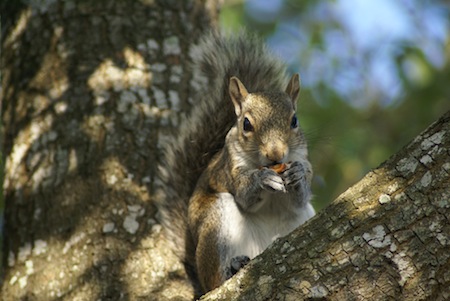 Teaching your kids to hunt