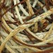 Using Cordage in Survival