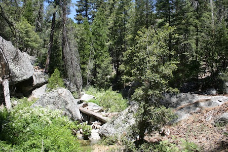 You'll need a good survival kit in the wilderness