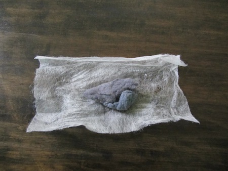 Turning dryer lint into a fire starter, step 1