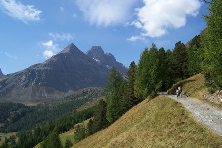 Hiking into the woods